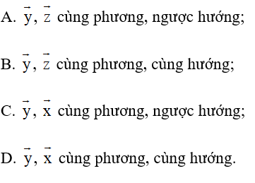 Đề thi Học kì 1 Toán 10 Kết nối tri thức có đáp án (10 đề)