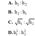 Đề thi Học kì 1 Vật Lí 10 có đáp án (Đề 1 - Tự luận - Trắc nghiệm)