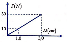 Đề thi Học kì 1 Vật Lí 10 có đáp án (Đề 1 - Trắc nghiệm)