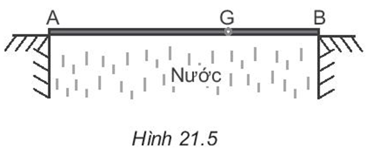 3 Đề thi Học kì 1 Vật Lí 10 Cánh diều năm 2024 (có đáp án) (ảnh 2)