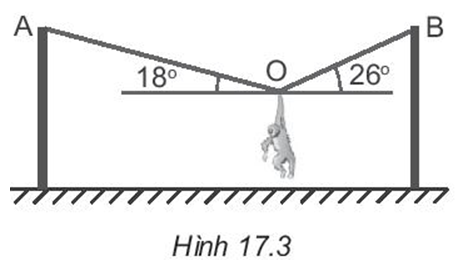 Đề thi Học kì 1 Vật Lí 10 Chân trời sáng tạo có đáp án (3 đề) (ảnh 13)