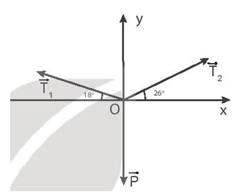 Đề thi Học kì 1 Vật Lí 10 Chân trời sáng tạo có đáp án (3 đề) (ảnh 15)