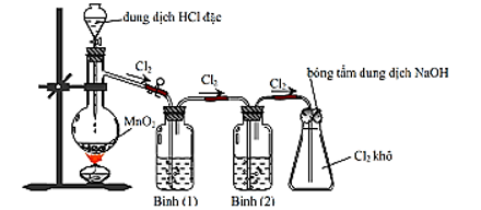 Đề thi Học kì 2 Hóa học 10 Kết nối tri thức có đáp án (4 đề)