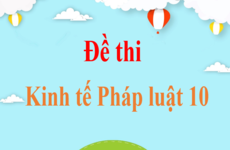 Top 100 Đề thi Kinh tế Pháp luật 10 mới nhất | Đề thi KTPL lớp 10 có đáp án | Kết nối tri thức, Cánh diều, Chân trời sáng tạo