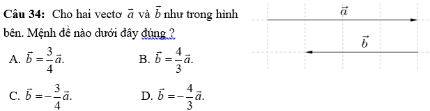 Đề thi Toán 10 Giữa học kì 1 năm 2024 có ma trận (18 đề)