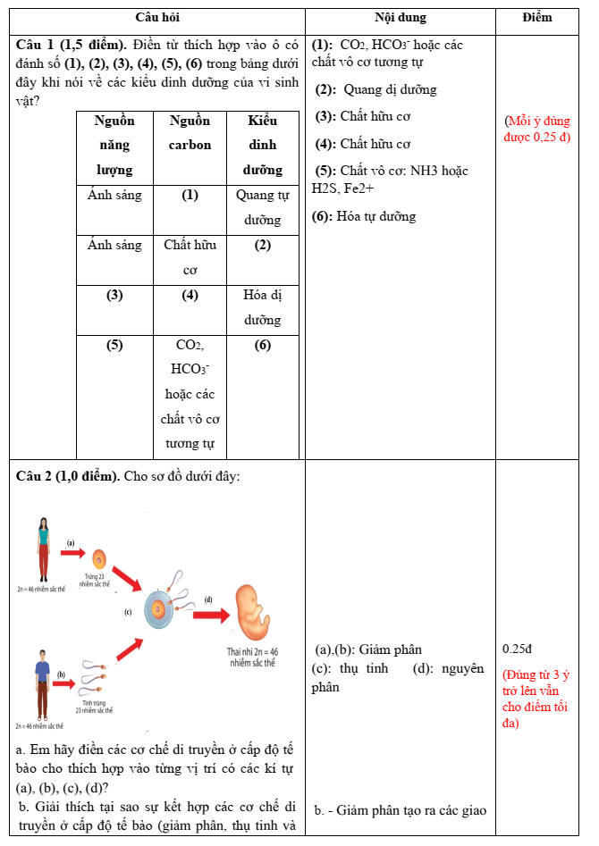 Đề thi Giữa kì 2 Sinh học 10 năm 2024-2025 trường THPT Bố Hạ (Bắc Giang)