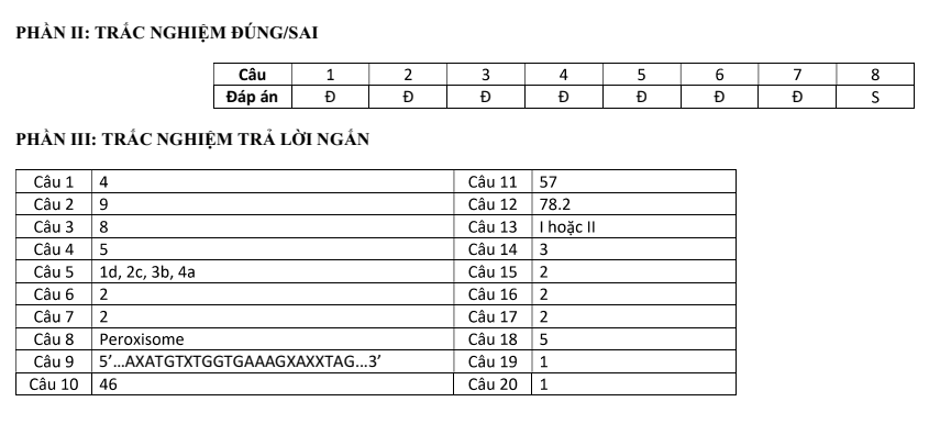 Đề thi Học kì 1 Sinh học 10 năm 2024-2025 trường THPT Bình Chiểu (Tp.HCM)
