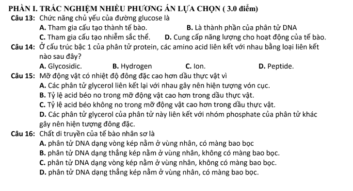 Đề thi Học kì 1 Sinh học 10 năm 2024-2025 trường THPT Bình Chiểu (Tp.HCM)