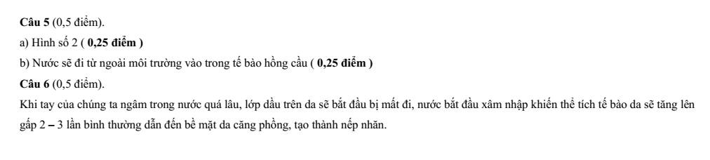 Đề thi Học kì 1 Sinh học 10 năm 2025-2026 trường THPT Bình Chiểu (Tp.HCM)