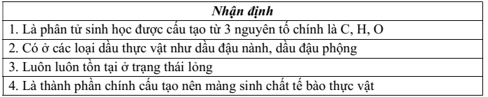 Đề thi Học kì 1 Sinh học 10 năm 2025-2026 trường THPT Bình Chiểu (Tp.HCM)