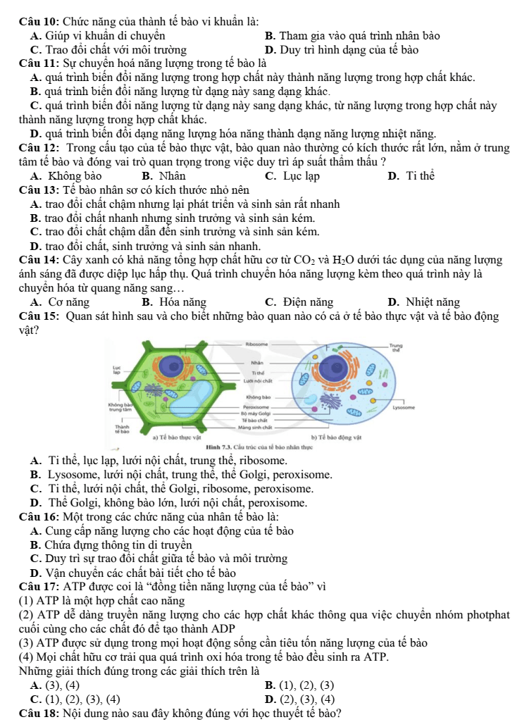 Đề thi Học kì 1 Sinh học 10 năm 2024-2025 trường THPT Gio Linh (Quảng Trị)