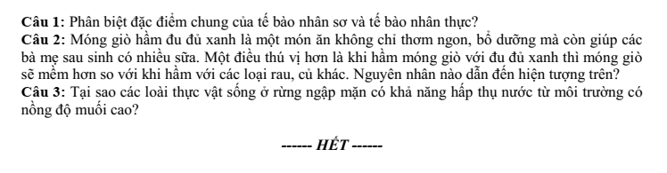 Đề thi Học kì 1 Sinh học 10 năm 2024-2025 trường THPT Gio Linh (Quảng Trị)