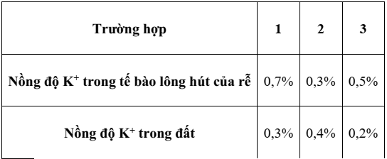 Đề thi Học kì 1 Sinh học 10 năm 2025-2026 trường THPT Lê Trọng Tấn (Tp.HCM)
