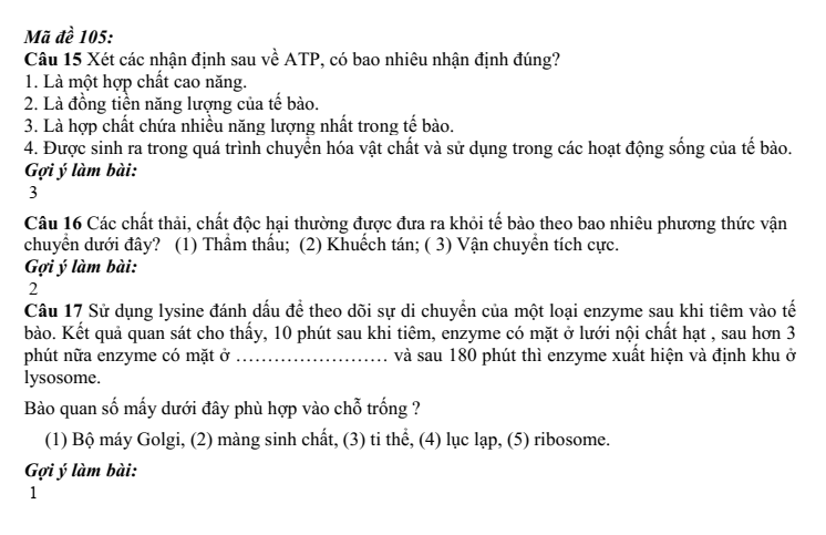 Đề thi Học kì 1 Sinh học 10 năm 2025-2026 trường THPT Nguyễn Trãi (Đà Nẵng)