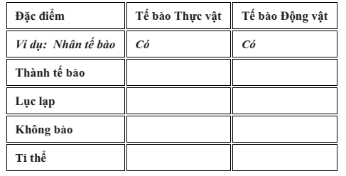 Đề thi Học kì 1 Sinh học 10 năm 2025-2026 trường THPT Nguyễn Trãi (Đà Nẵng)