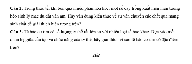Đề thi Học kì 1 Sinh học 10 năm 2025-2026 trường THPT Số 1 Ngô Gia Tự (Đắk Lắk)