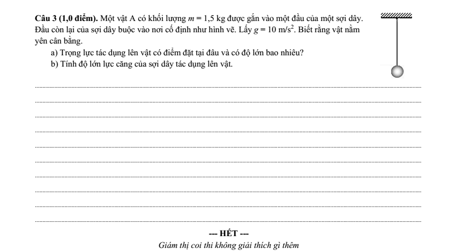 Đề thi Học kì 1 Vật Lí 10 năm 2025-2026 trường THPT Lương Thế Vinh (Tp.HCM)