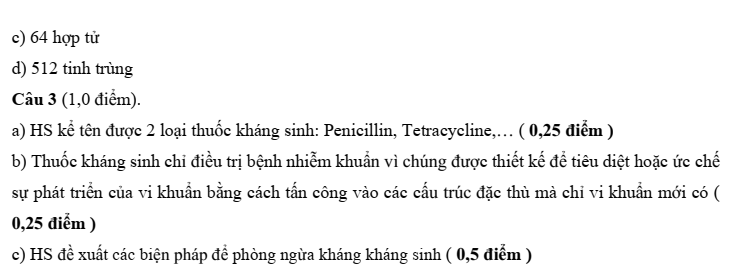 Đề thi Học kì 2 Sinh học 10 năm 2025-2026 trường THPT Bình Chiểu (Tp.HCM)