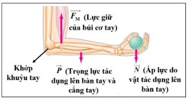 Đề thi Học kì 2 Vật Lí 10 năm 2025-2026 Sở Bắc Ninh