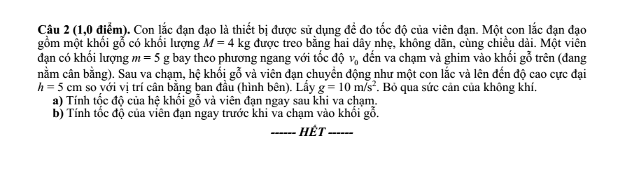 Đề thi Học kì 2 Vật Lí 10 năm 2025-2026 Sở Bắc Ninh