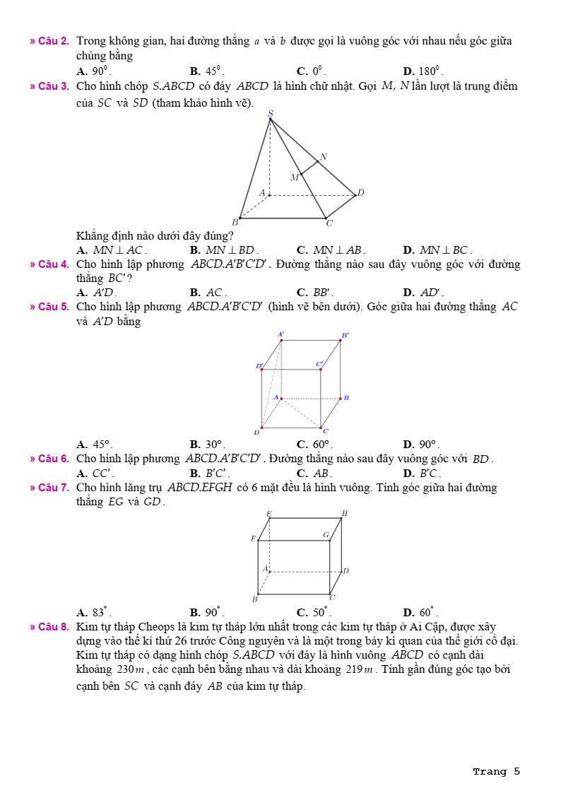 Đề cương ôn tập Giữa kì 2 Toán 11 trường THPT Bùi Hữu Nghĩa (Cần Thơ) năm 2025-2026