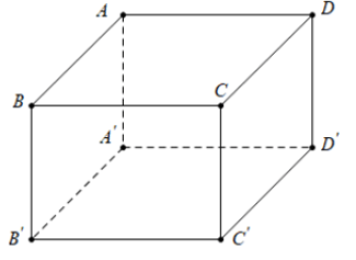 Đề cương ôn tập Giữa kì 2 Toán 11 Kết nối tri thức (ảnh 2)