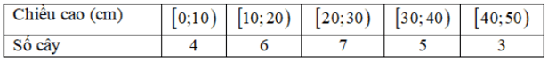 Đề cương ôn tập Học kì 2 Toán 11 Cánh diều (ảnh 2)