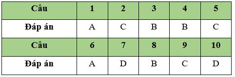 Đề kiểm tra 15 phút Tin học 11 Học kì 2 có đáp án (Đề 4)