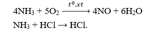 Đề kiểm tra Giữa kì 1 Hóa học 11 có đáp án (Trắc nghiệm - Đề 2)