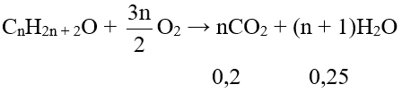 Đề thi Giữa kì 2 Hóa học 11 có đáp án (Đề 1)