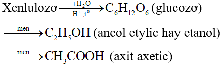 Đề thi Giữa kì 2 Hóa học 11 có đáp án (Đề 2)
