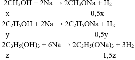 Đề thi Giữa kì 2 Hóa học 11 có đáp án (Đề 3)