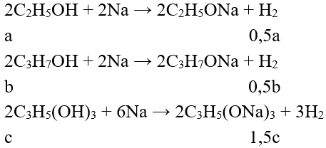 Đề thi Giữa kì 2 Hóa học 11 có đáp án (Đề 4)