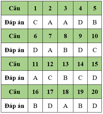 Đề thi Giữa học kì 1 Tin học 11 có đáp án (Đề 1)