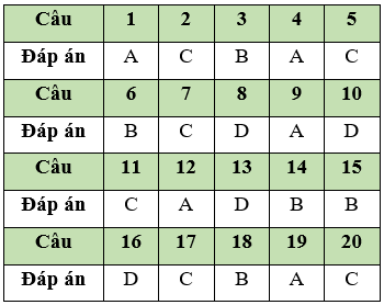 Đề thi Giữa học kì 1 Tin học 11 có đáp án (Đề 2)