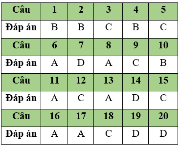 Đề thi Giữa học kì 1 Tin học 11 có đáp án (Đề 3)