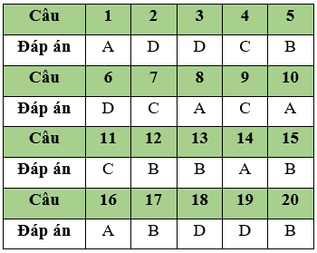 Đề thi Giữa học kì 1 Tin học 11 có đáp án (Đề 4)