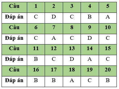 Đề thi Giữa học kì 2 Tin học 11 có đáp án (Đề 1)