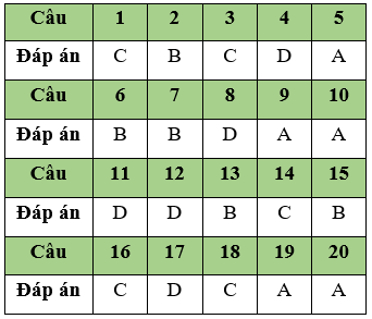 Đề thi Giữa học kì 2 Tin học 11 có đáp án (Đề 2)