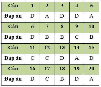 Đề thi Giữa học kì 2 Tin học 11 có đáp án (Đề 3)