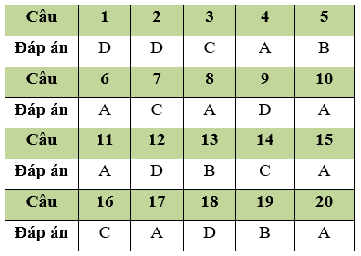 Đề thi Giữa học kì 2 Tin học 11 có đáp án (Đề 4)