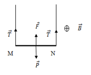 Đề thi Giữa học kì 2 Vật Lí 11 có đáp án (Đề 1)