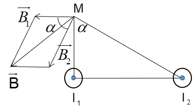 Đề thi Giữa học kì 2 Vật Lí 11 có đáp án (Đề 1)