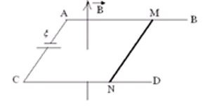 Đề thi Giữa học kì 2 Vật Lí 11 có đáp án (Đề 2)