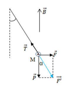 Đề thi Giữa học kì 2 Vật Lí 11 có đáp án (Đề 3)