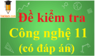 Đề thi Công nghệ 11 có đáp án