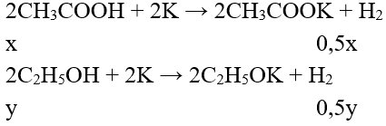 Đề thi Hóa học 11 Học kì 2 có đáp án (Đề 5)