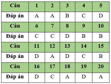 Đề thi Học kì 1 Tin học 11 năm 2024 có đáp án (Đề 1)