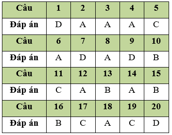 Đề thi Học kì 1 Tin học 11 có đáp án (Đề 2)