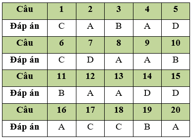 Đề thi Học kì 1 Tin học 11 có đáp án (Đề 3)